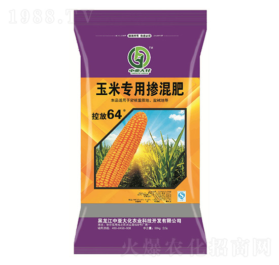 ���׌��Ó����15-14-10-�Ё���