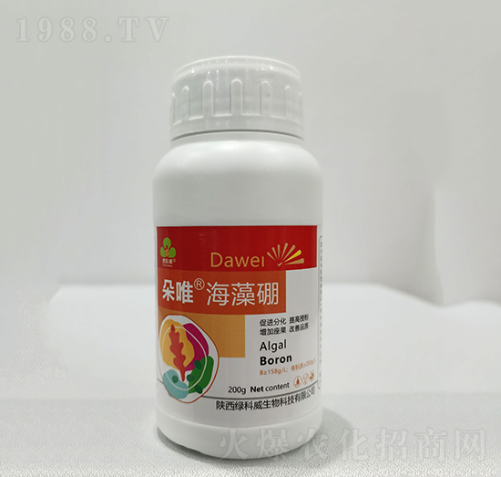 ��Ψ������-�G����