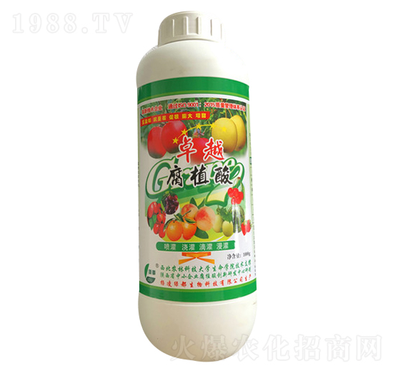 ��ֲ��-�G��