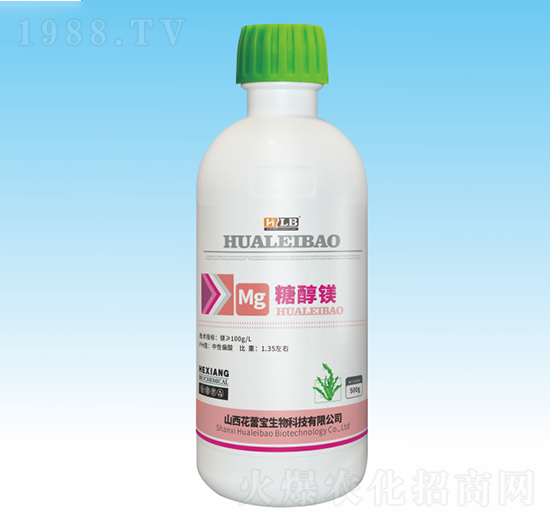 �Ǵ��V-���ٌ�����