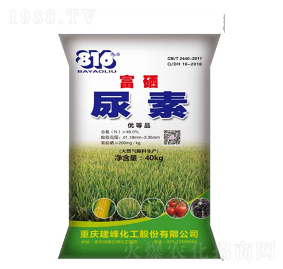 �������w����-����