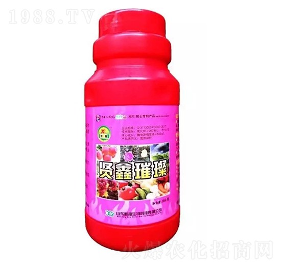 �t�����~���-�t��