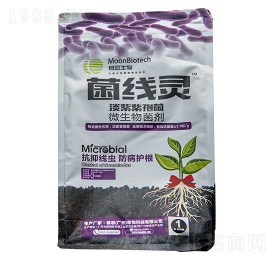 �������߾�-�����`-�����m�r(n��ng)�I(y��)