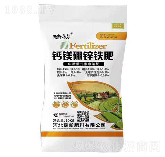 �}�V���\�F��-��-���·���