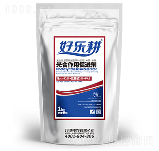 ������ô��M(j��n)�����~��ʣ�-�Ø�(l��)��-�f(w��n)�����r(n��ng)