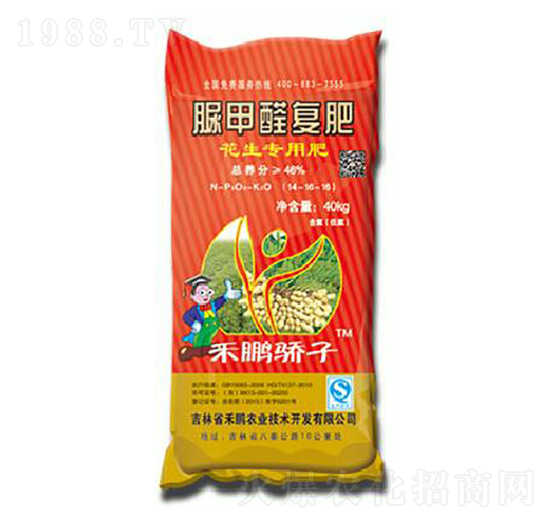 �����������ȩ�ͷ�14-16-16-���i���-���i�r(n��ng)�I(y��)