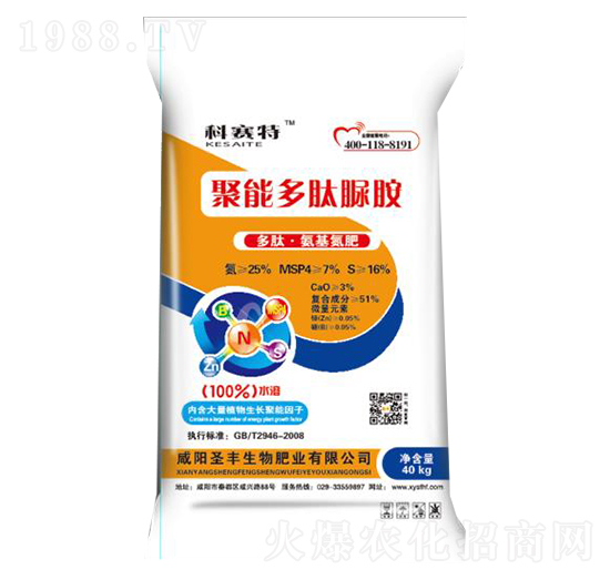 ���ܶ������@-��ِ��-ʥ�S