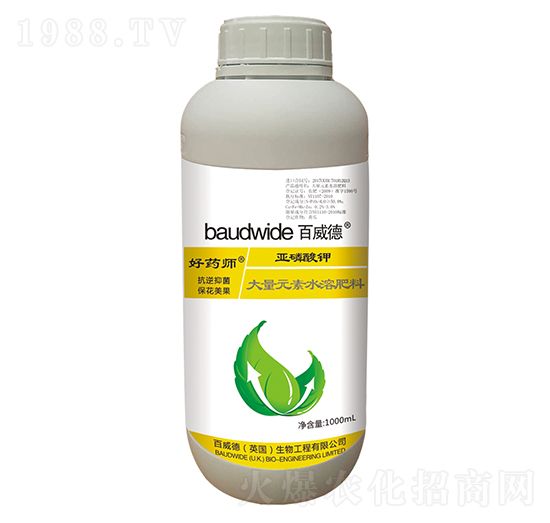 �������-��ˎ��-������