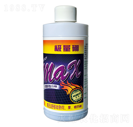 �O����-������