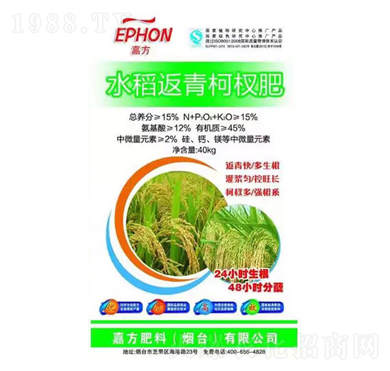 ˮ�������辷�-���r(n��ng)�r(n��ng)�I(y��)