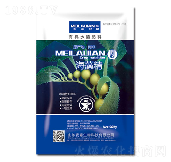 ���徫-��������