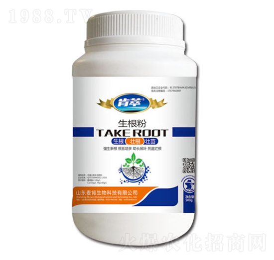 ����������-��������