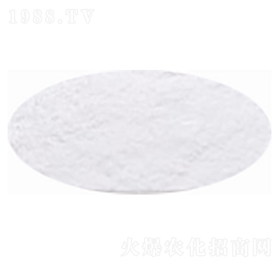 ����⛣������Է�ĩ��-�۸�˼�_