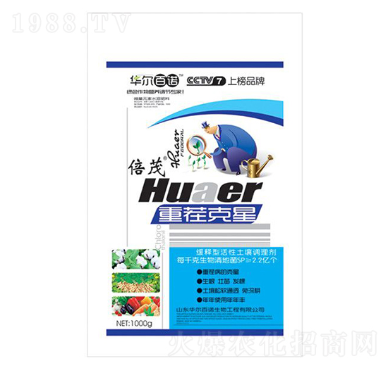 �����{�턩-�ز����-�A�����Z