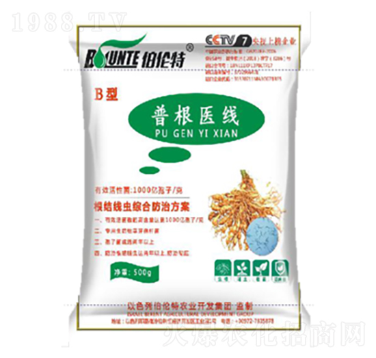 �ո��t(y��)��(xi��n)B��-�ֲ���