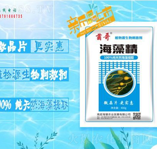 ���徫-����