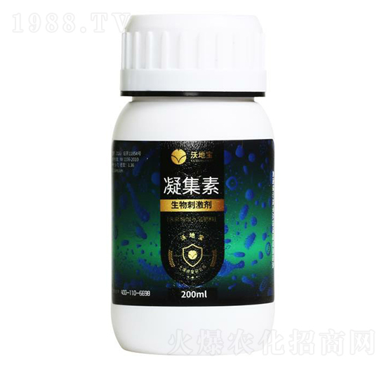 ����̼���-������-�ֵ،�