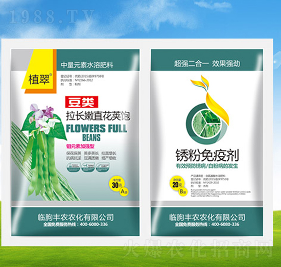 ���L��ֱ���v��+���P���߄�-ֲ��-�S�r(n��ng)�r(n��ng)��