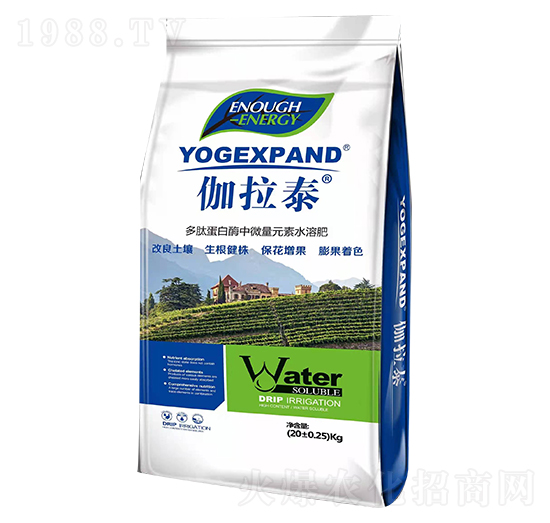 ���ĵ���ø��΢��Ԫ��ˮ�ܷ�-٤��̩-�����S