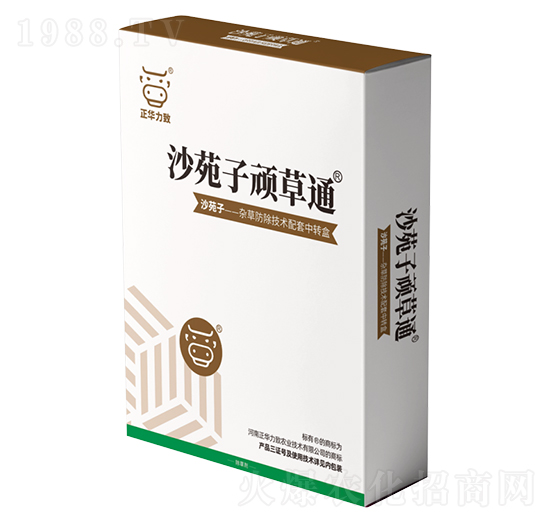 ɳԷ���B��ͨ-���A����