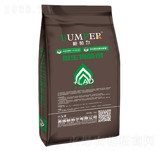 ΢�������-�U����-����ʢ�S