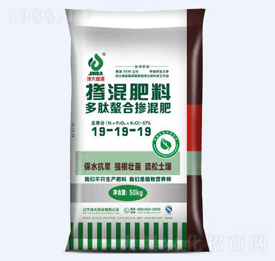 �������ϓ����19-19-19-���ʘI(y��)