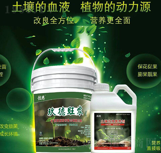 �������r(n��ng)+���������I�B(y��ng)��-������