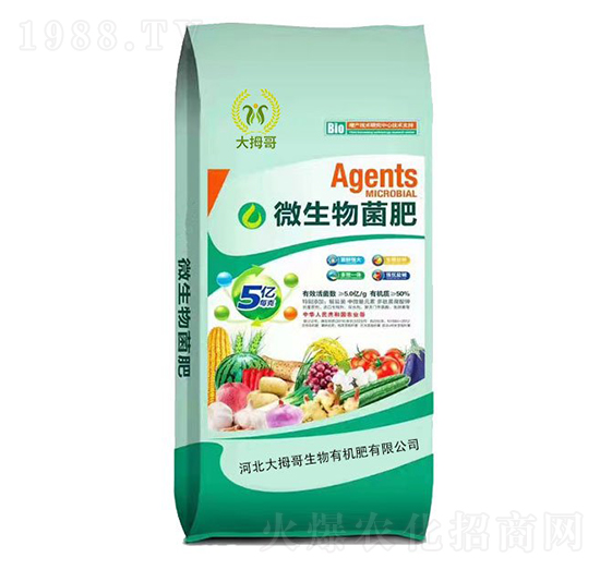 5�|΢�������-��Ĵ��