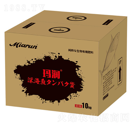 �ձ��M���~����-����-����