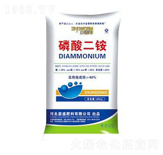 ������@-��ʢ����