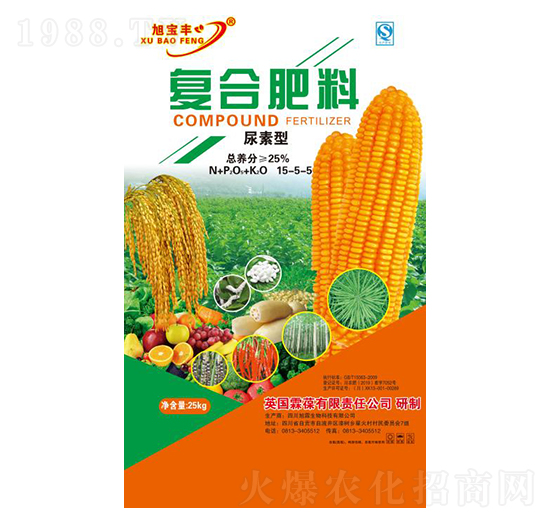 �����͏�(f��)�Ϸ���15-5-5-���S