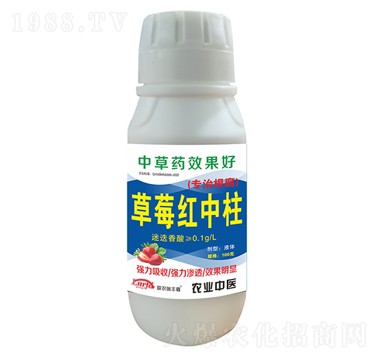 草莓紅中柱-聯(lián)農(nóng)瑞豐德