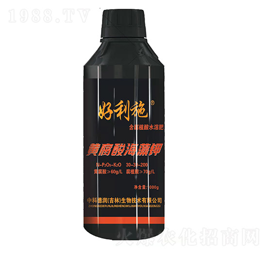 �S���ả���-��(r��n)�ʘI(y��)