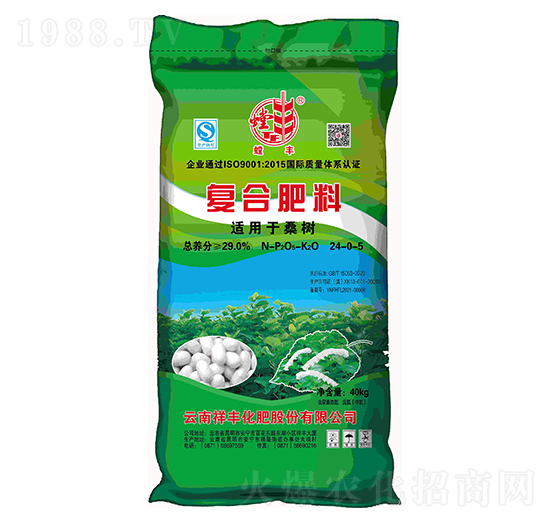 ɣ��(sh��)�m�Ï�(f��)�Ϸ���24-0-5-��S-���Sʯ��