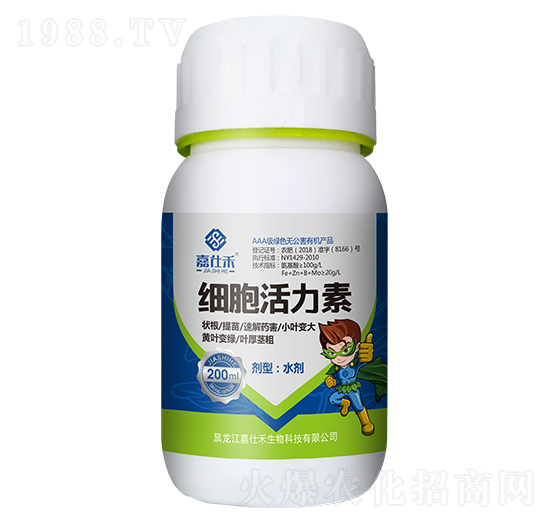 ���������أ�ƿ��-���˺�