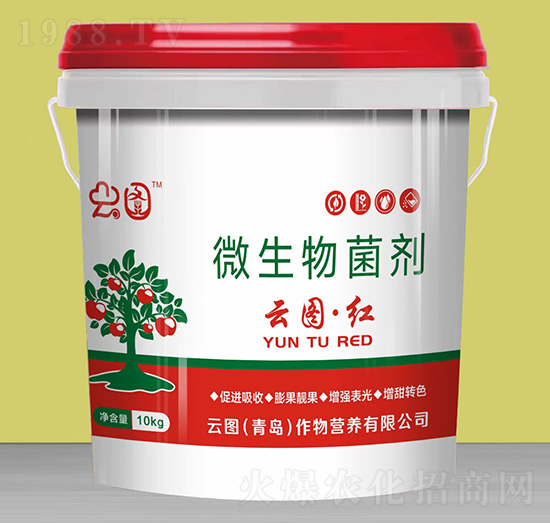 ΢�������-�ƈD���t-�ƈD