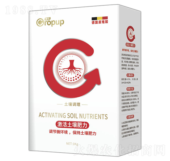 �����{����~���-���Z-�¶�����