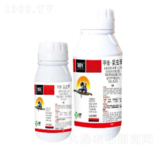 11.6%�׾S�����x���Ҹ���-�̱�-���՘�