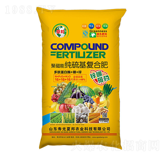 �۴��ܡ��������(f��)�Ϸ�16-16-16-�İ��r(n��ng)�I(y��)