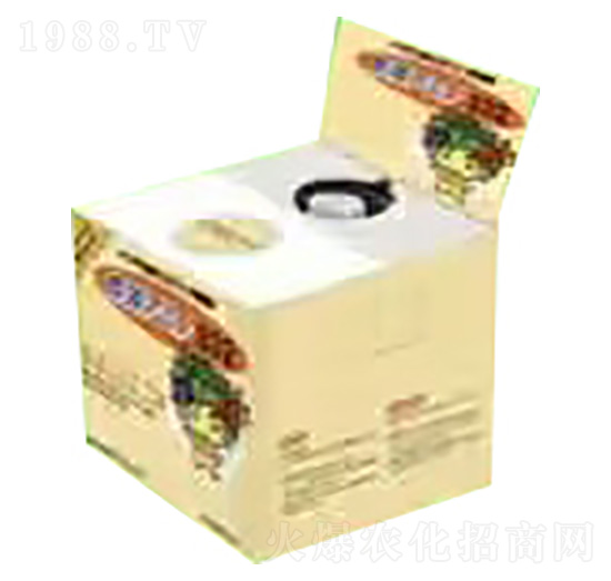 ����-�ѹ�Ӣ