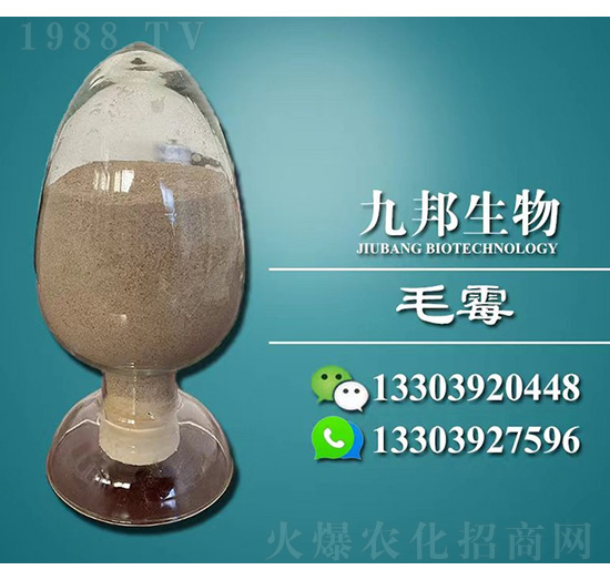 BMëù���N-�Ű�����