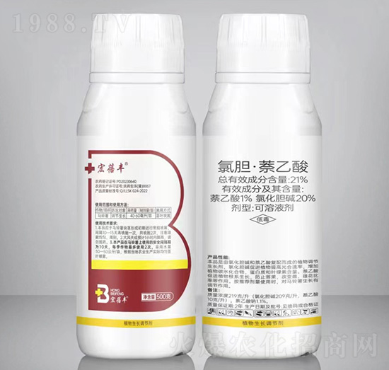 21%��đ�����������Һ��-�����S-�����r