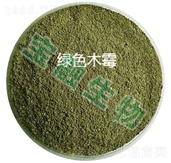 �Gɫľù-��������