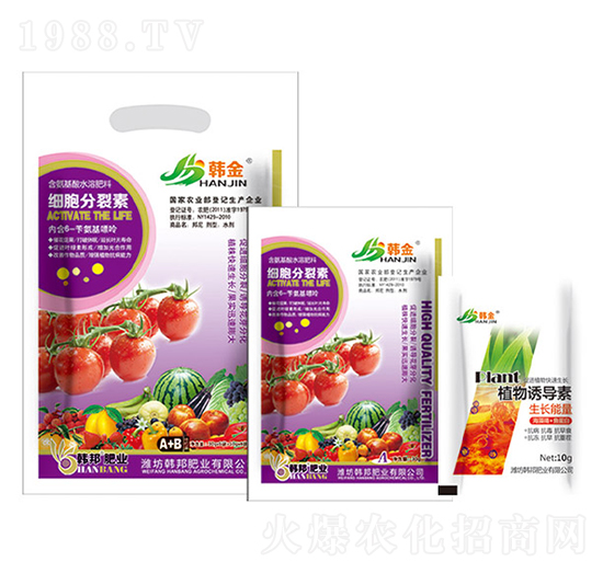 ����������-�n��-�n��ʘI(y��)