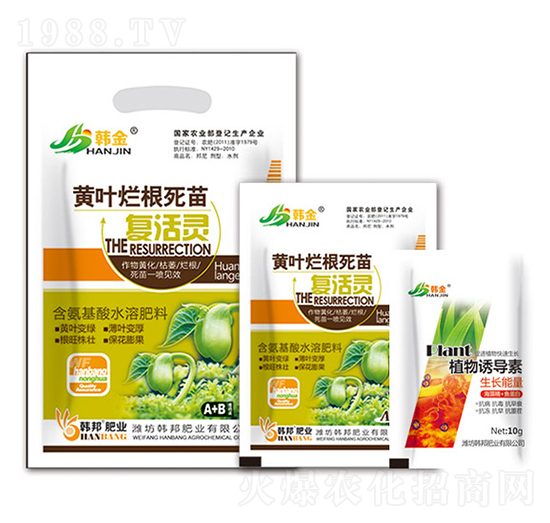 �S�~���������(f��)���`-�n��-�n��ʘI(y��)