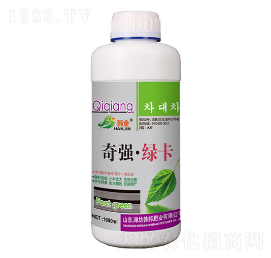 �揊���G��-�n��-�n��ʘI(y��)