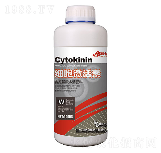 ����������-�n��-�n��ʘI(y��)