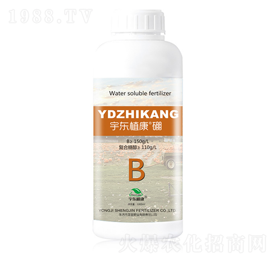 ��|ֲ����-ʥ��ʘI(y��)