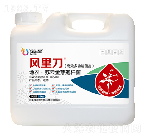 ��Ч�๦�ܾ���-�L(f��ng)�ﵶ-�G����