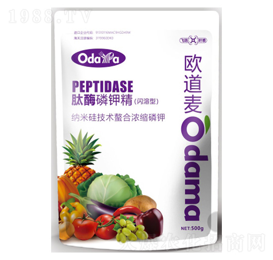 ��ø��⛾�(�W����)-�W����